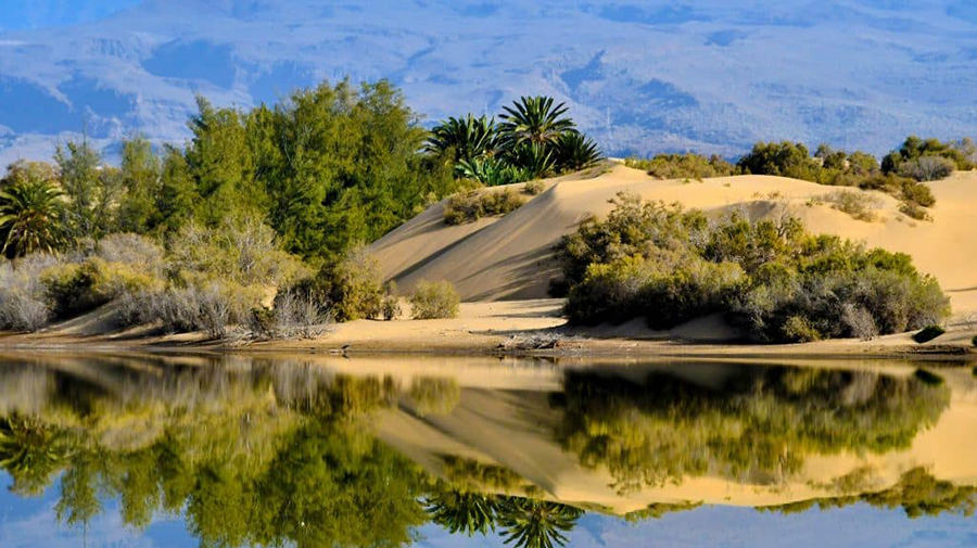 Natuurreservaat El Oasis